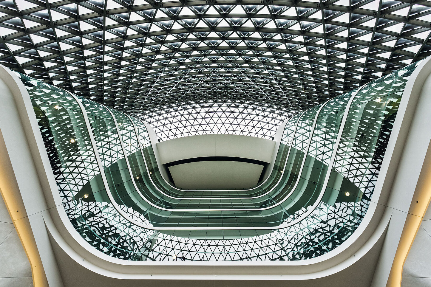 SAHMRI #1
