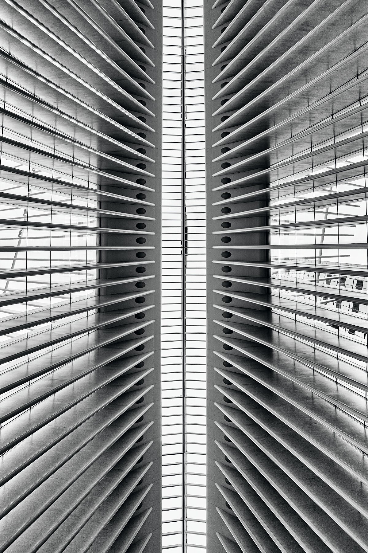 Oculus #2