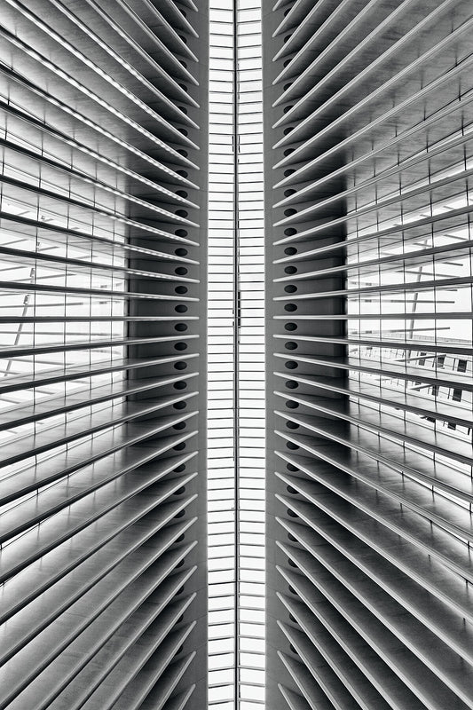 Oculus #2