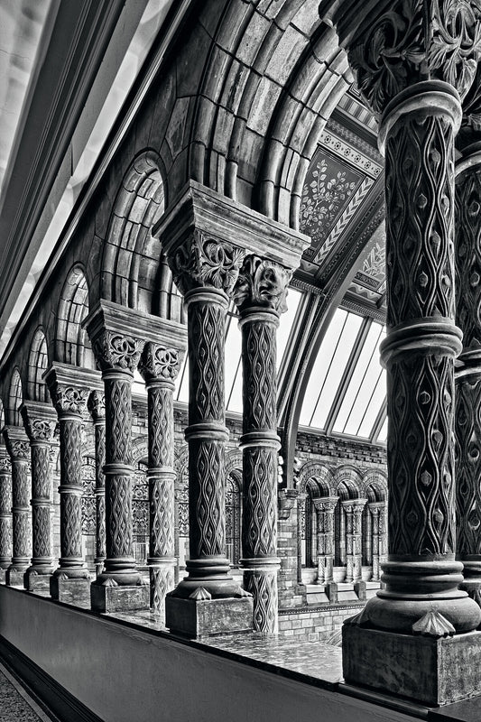 Museum #5