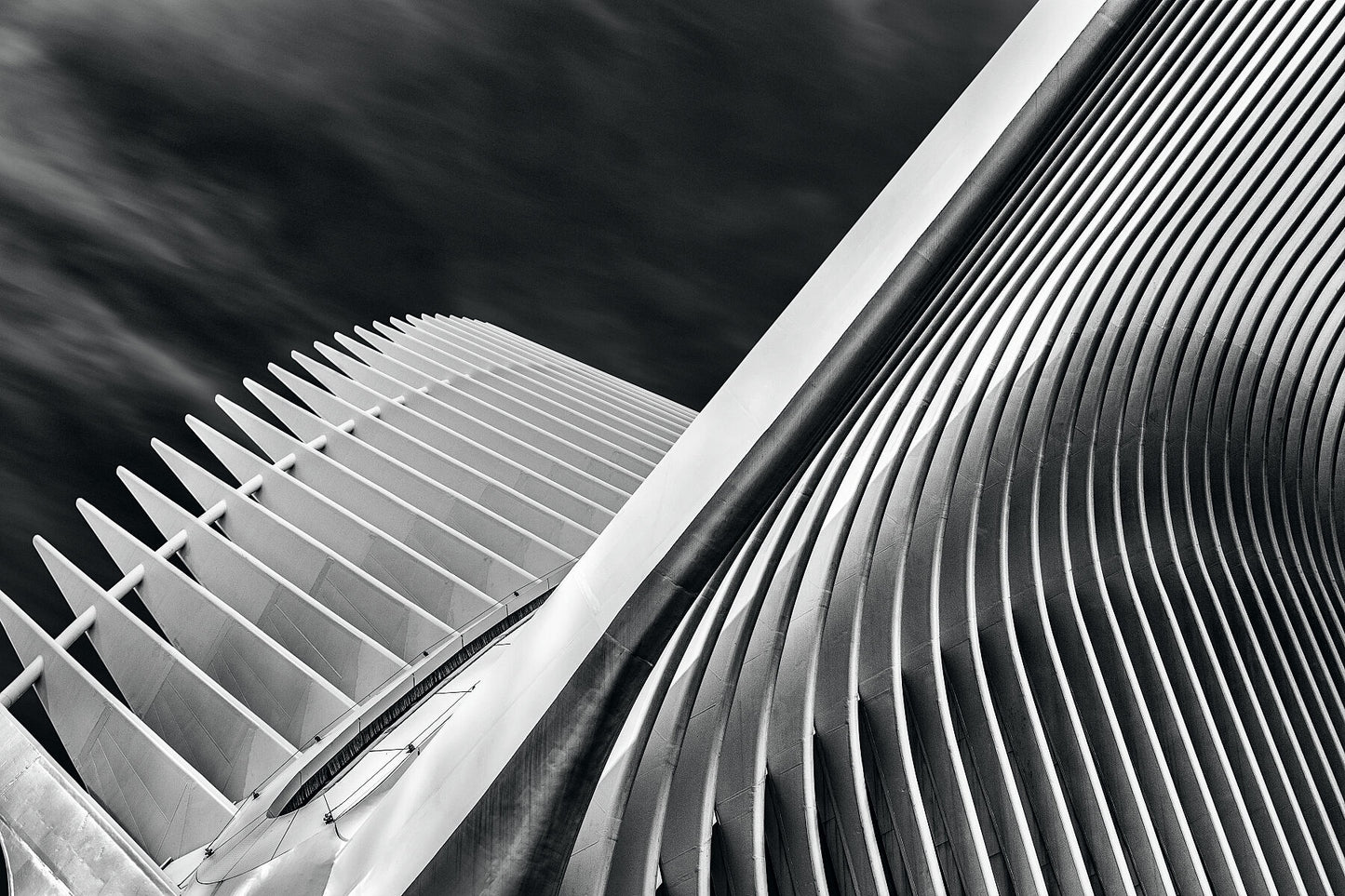 Oculus #1
