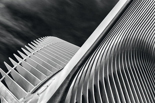 Oculus #1